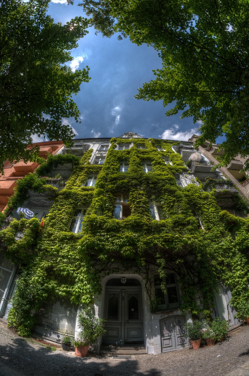 蚌埠通城紫都最新動態(tài)揭秘，城市發(fā)展與居住品質(zhì)同步提升