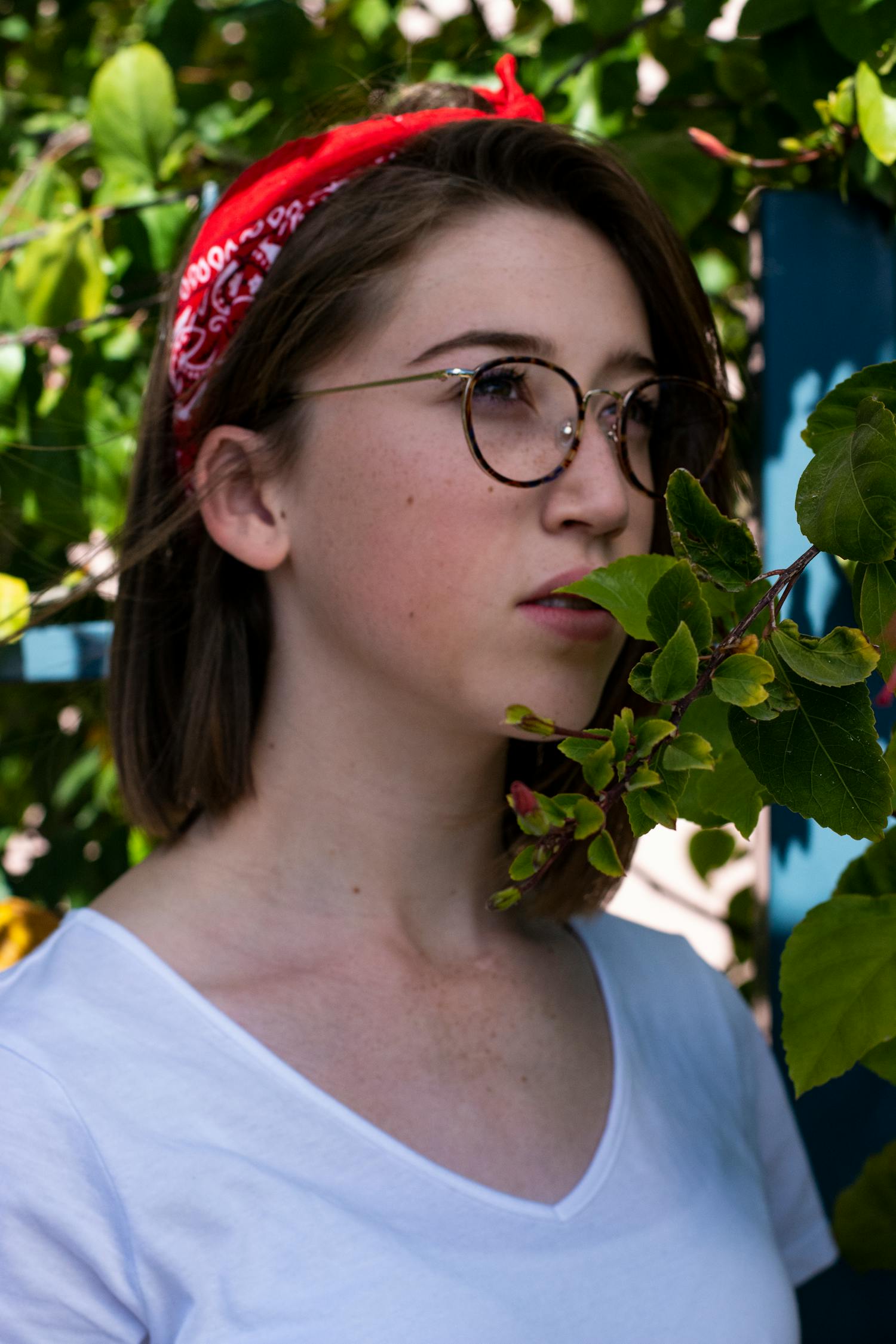 探索自然之美，花海趕海新動態(tài)揭秘