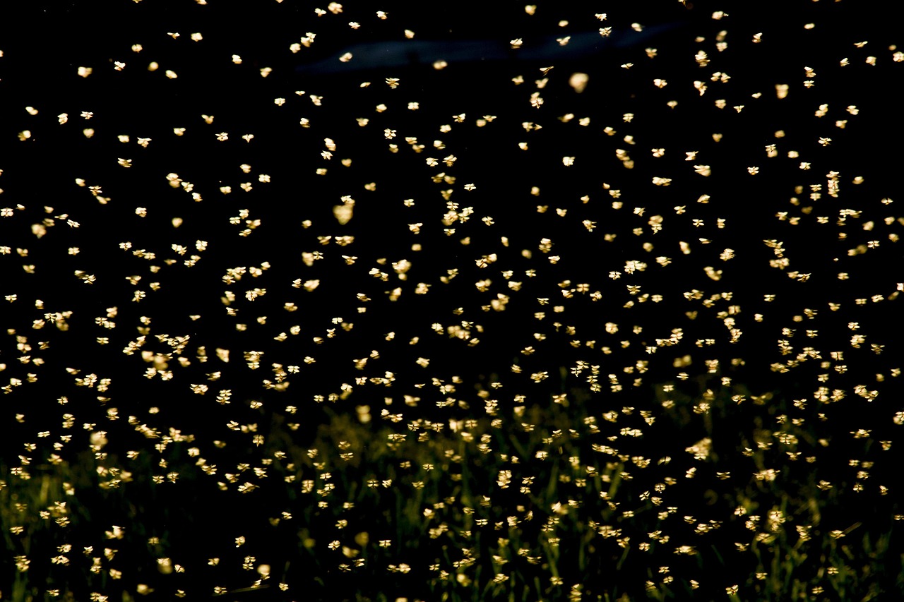 億晶光電股票，深度探索與未來(lái)前景展望