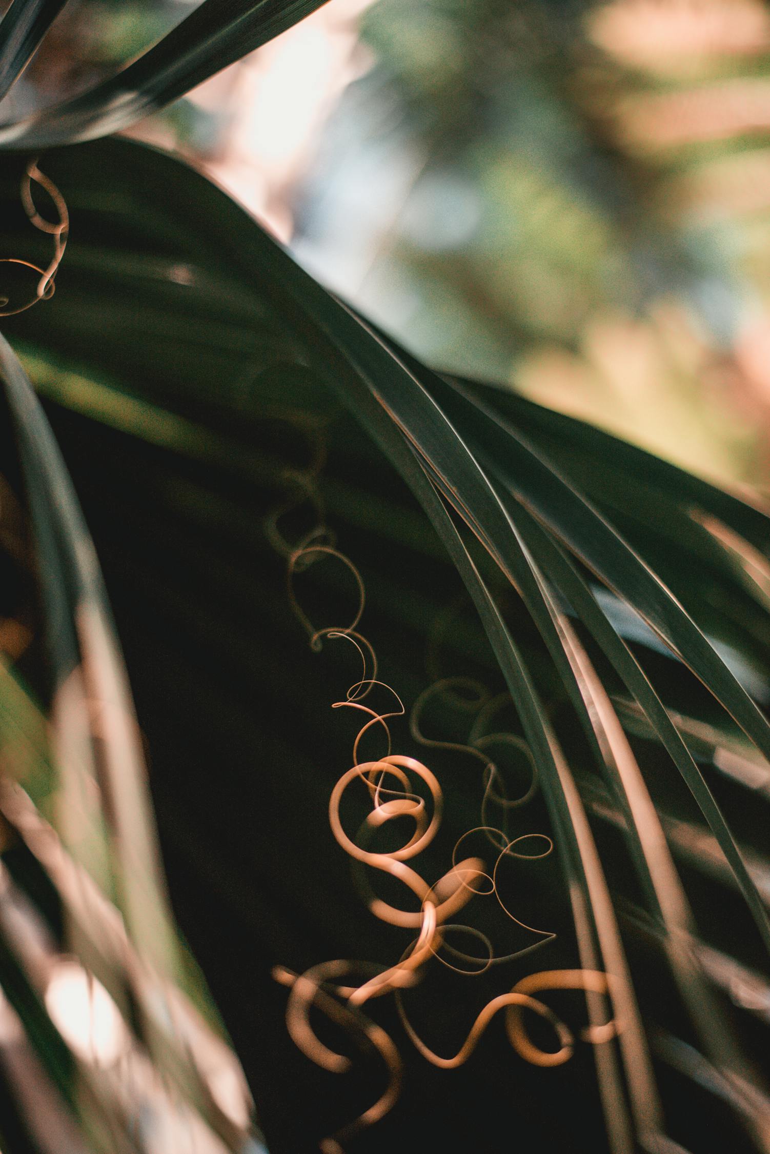 蒙城土地拍賣資訊深度解析及最新動態(tài)