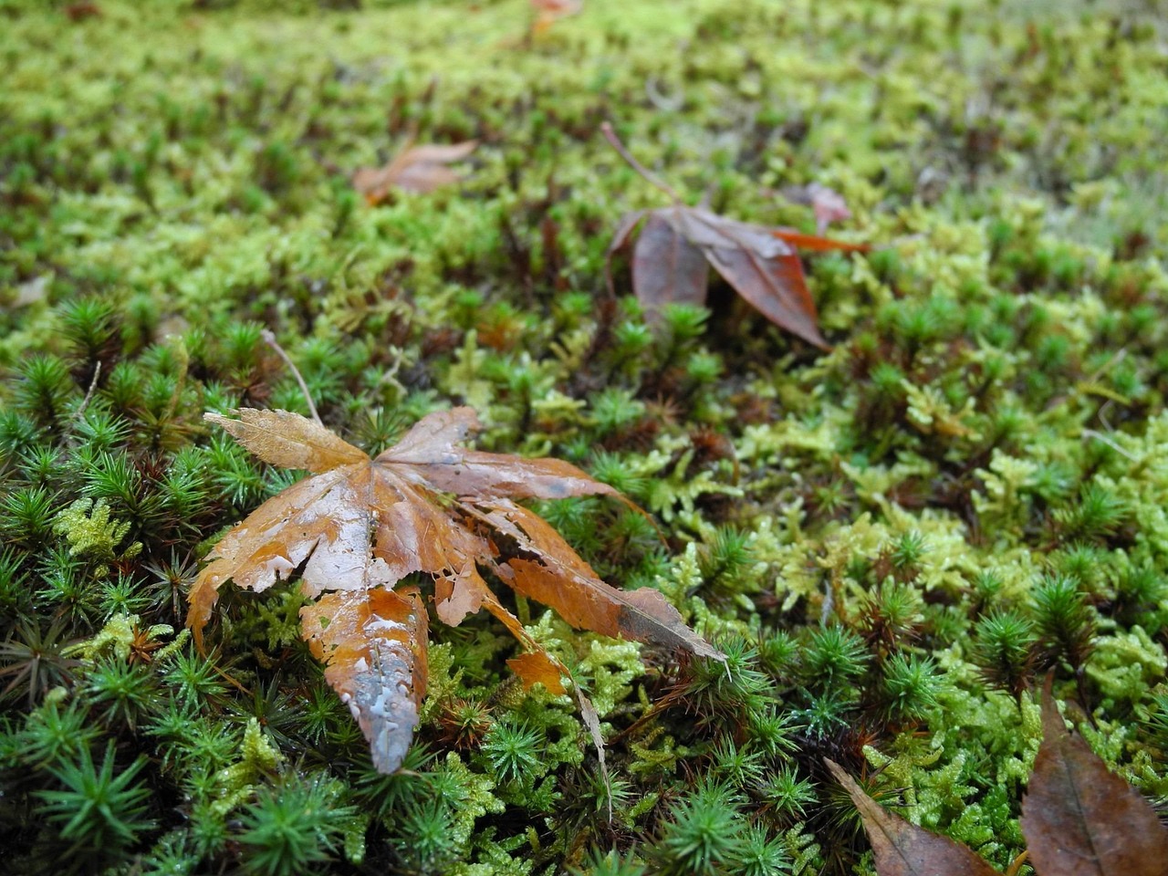 社會熱點資訊速覽，聚焦時事動態(tài)，洞悉社會脈搏。