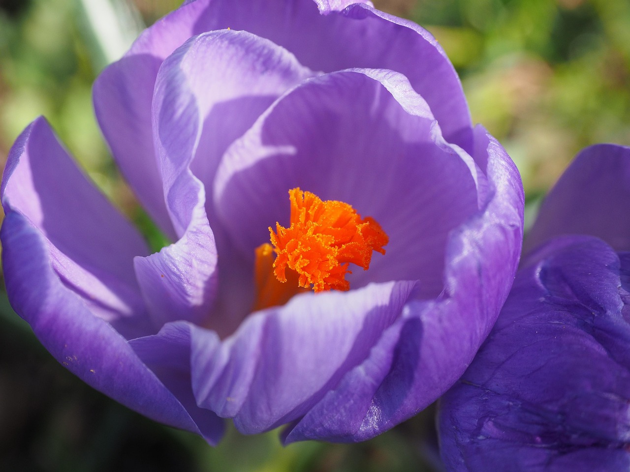 安靜的河 第4頁