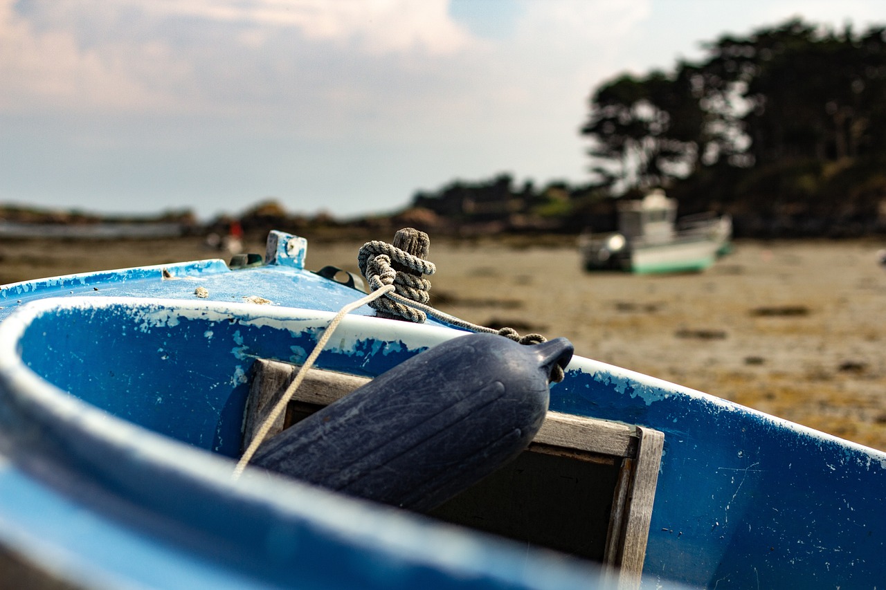 翔安疫情最新動態(tài)，全面防控，守護家園安寧