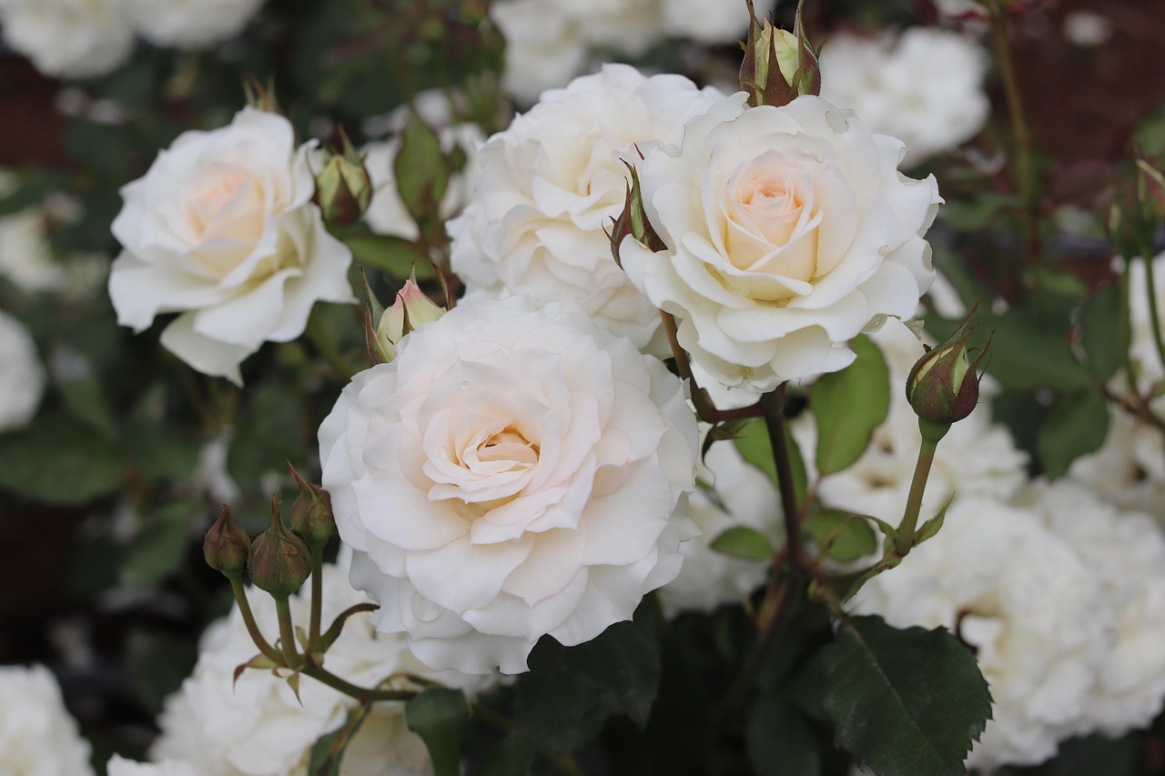 傷感的動漫壁紙，情感與視覺的交織藝術(shù)