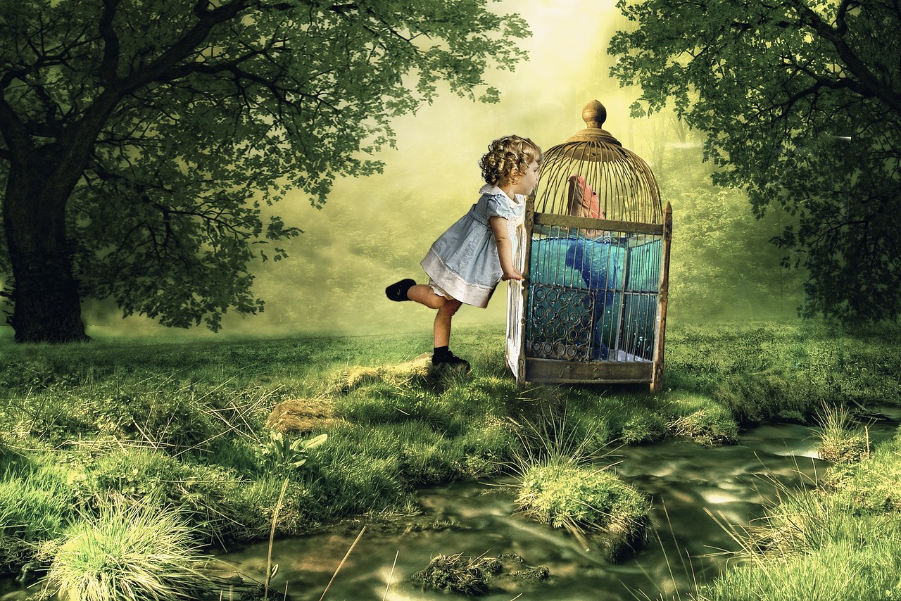 烏龜動(dòng)漫圖片的魅力與深遠(yuǎn)影響