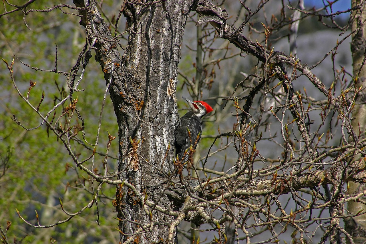 校園最新資訊概覽，最新校園動(dòng)態(tài)一網(wǎng)打盡