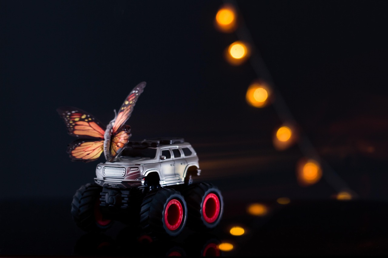 民族復興的最新動態(tài)，探索與前行之路