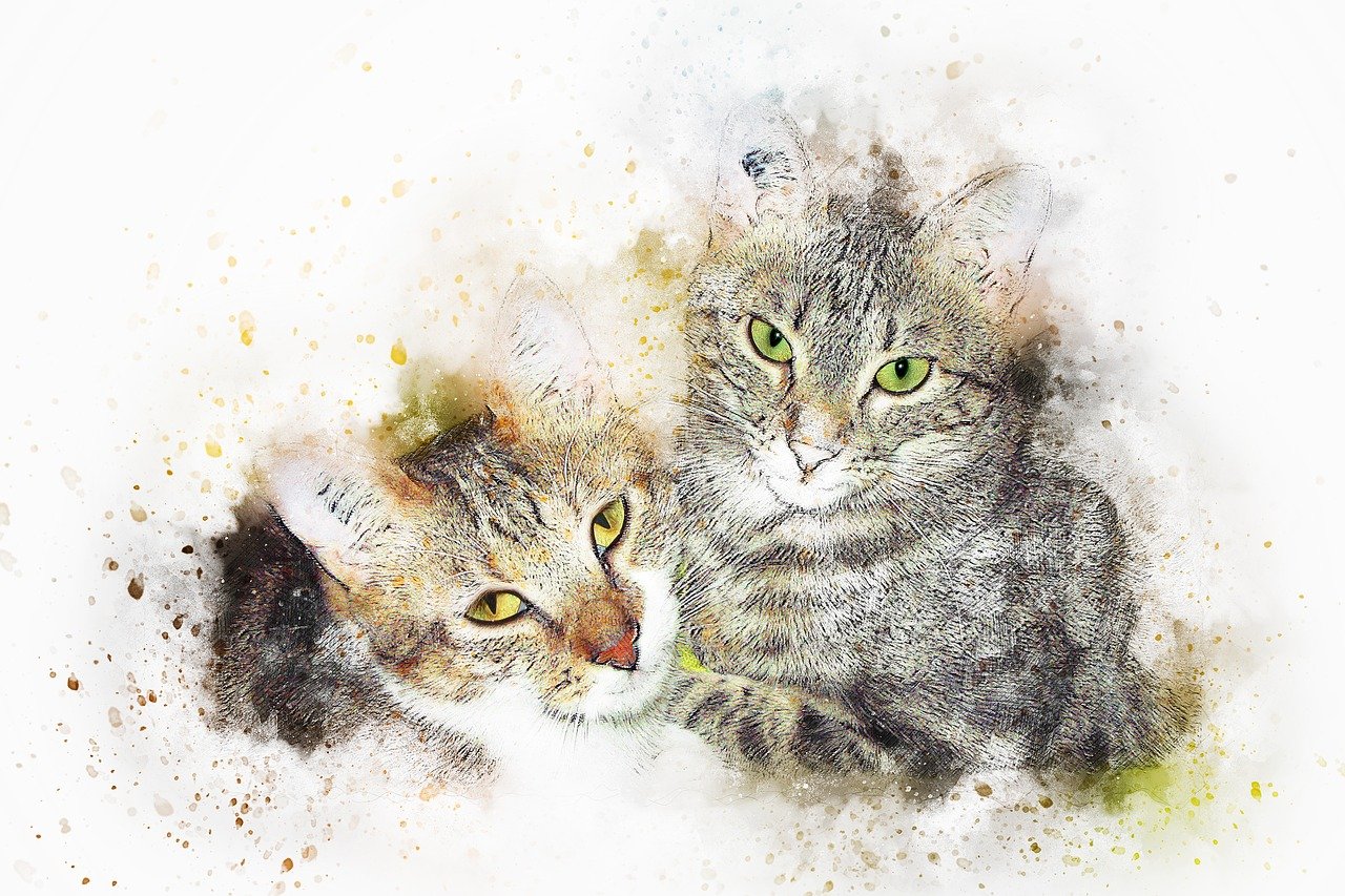 動(dòng)漫畫動(dòng)物，創(chuàng)意與藝術(shù)的完美融合