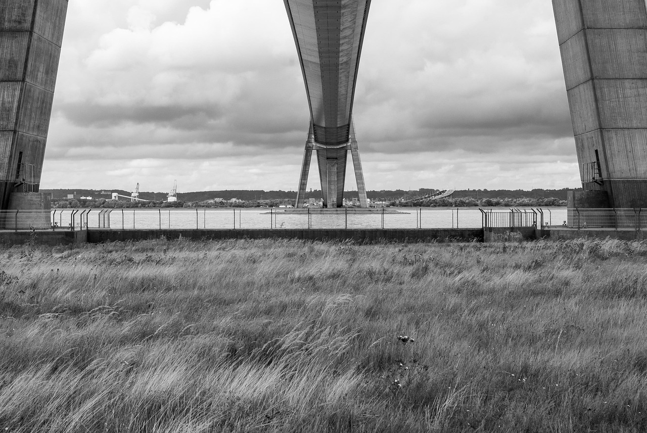 動(dòng)漫翻譯，跨越文化的橋梁與紐帶連接世界