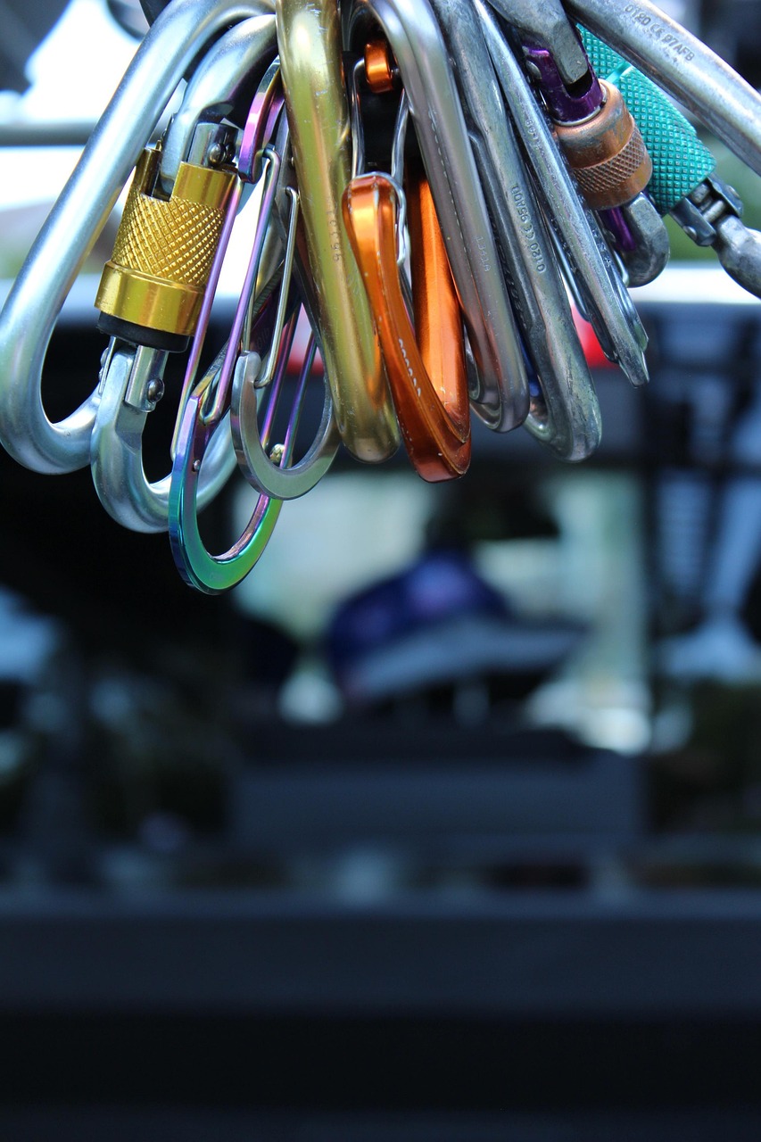 最強棄少章節(jié)更新列表最新動態(tài)