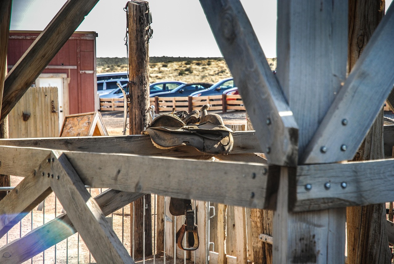 南海最新動(dòng)態(tài)，區(qū)域穩(wěn)定與合作深化進(jìn)展觀察