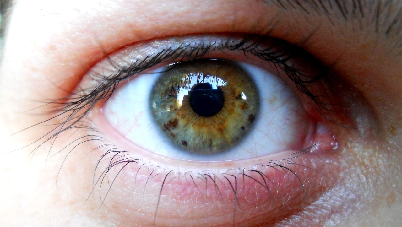 柯南小蘭新動(dòng)態(tài)揭秘，追蹤神秘事件的最新進(jìn)展