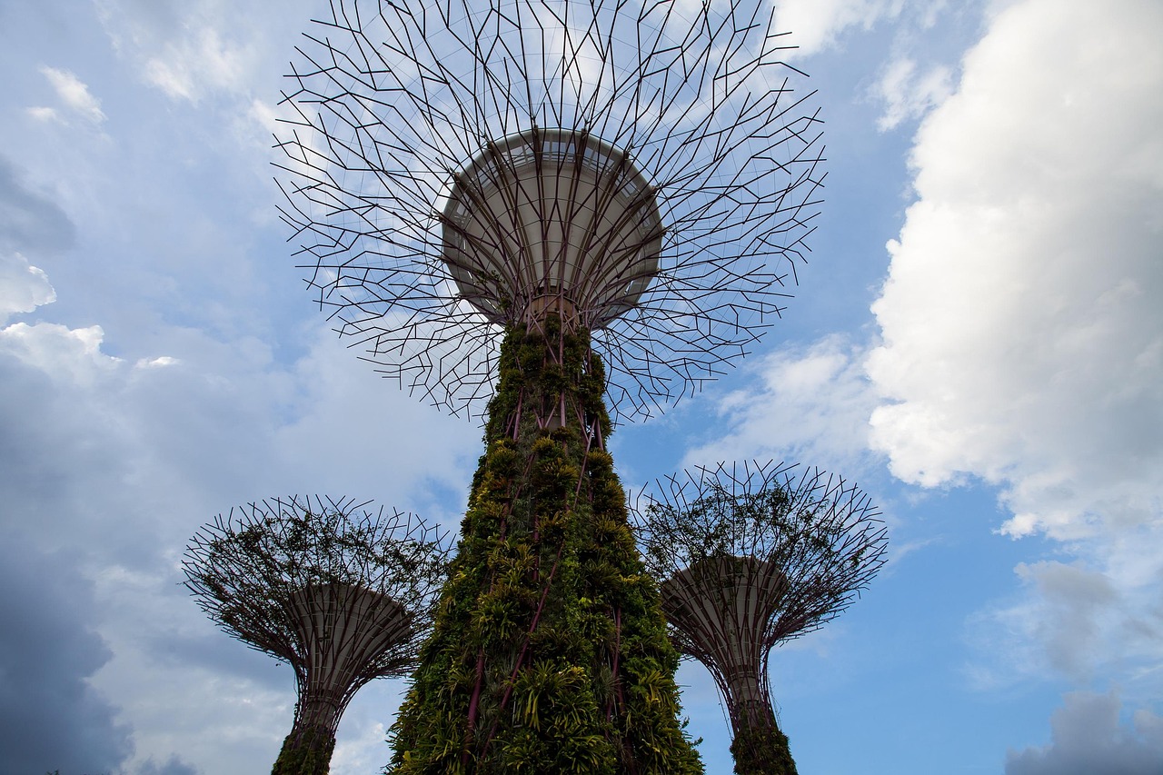 萬(wàn)花最新版本探索與體驗(yàn)之旅