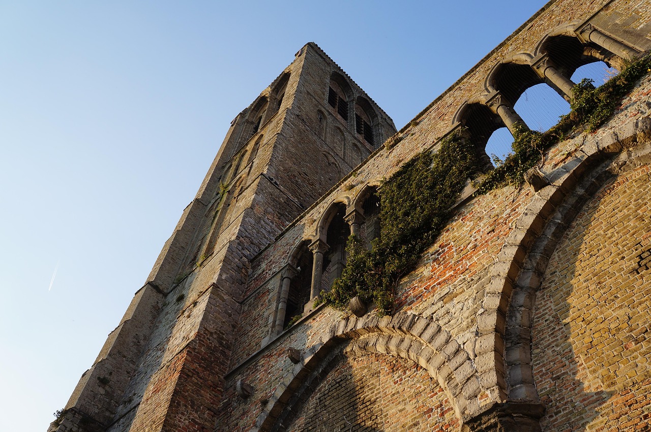 軍閥新篇，歷史變遷與現(xiàn)代解讀的透視