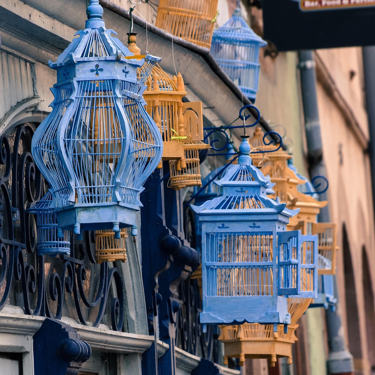 探索未知世界的魅力與深度，最新成人動漫一覽