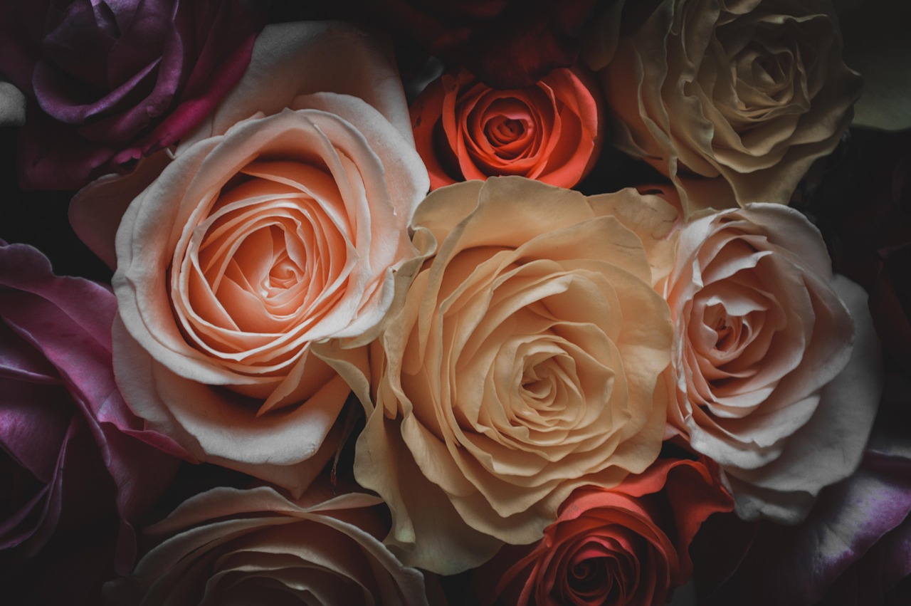 揭秘2017最新邪惡動態(tài)圖片，背后的故事與影響