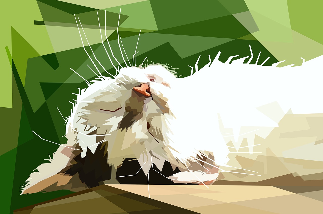 妙妙貓最新動態(tài)揭秘，探索未知，潮流引領(lǐng)者