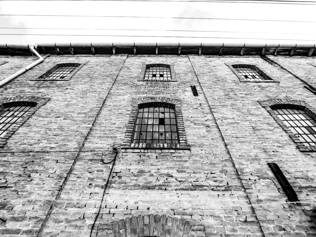 云南斗牛比賽中的牛死牛事件，傳統(tǒng)競技背后的反思