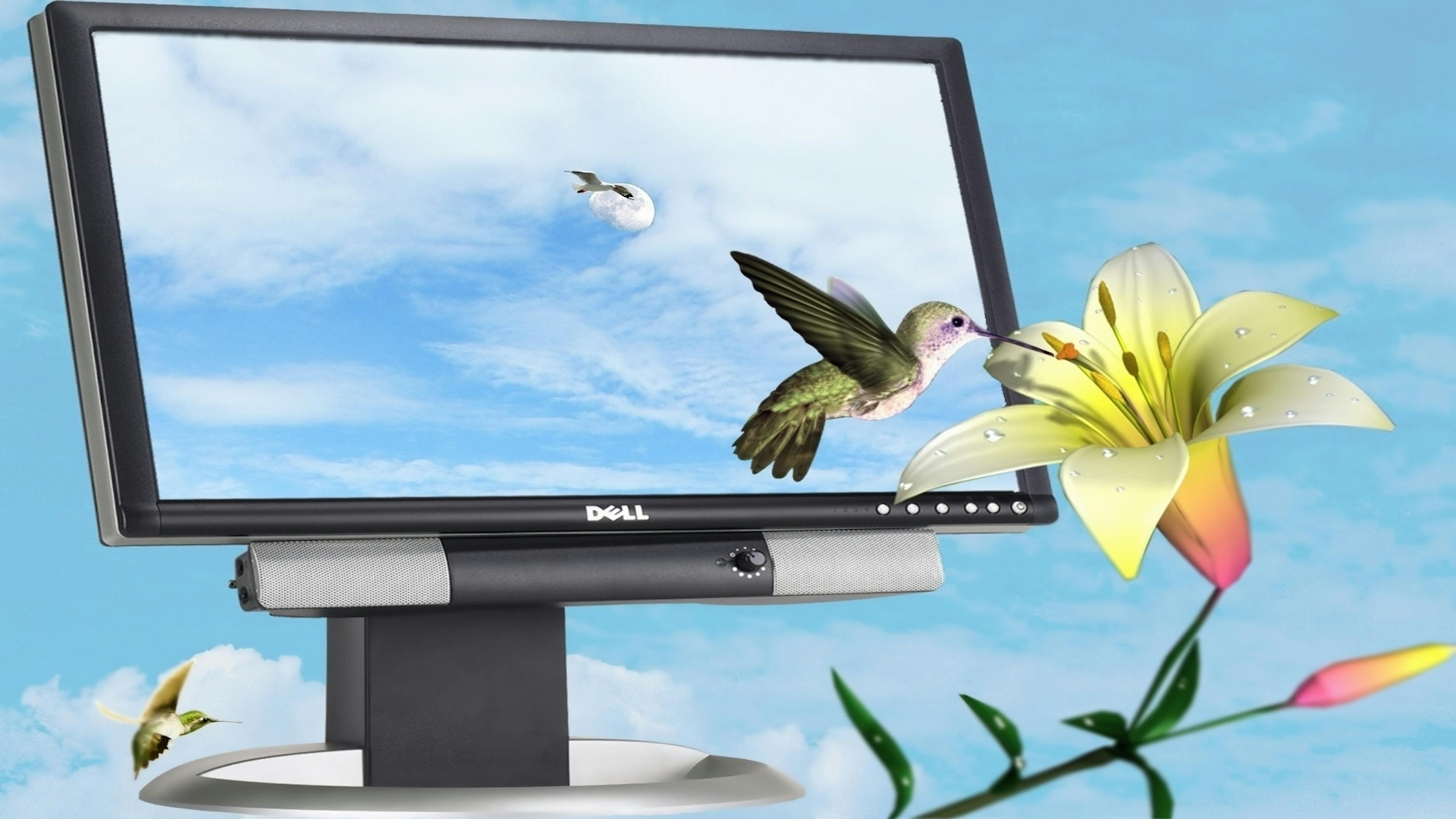 淶水新聞最新動(dòng)態(tài)，縣域發(fā)展新動(dòng)向與社會(huì)民生新動(dòng)態(tài)