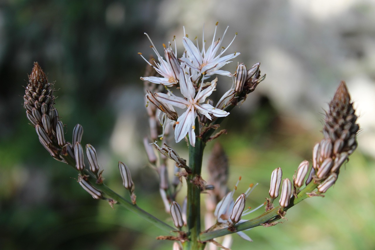 萊西疫情最新動態(tài)，全面防控與積極應對