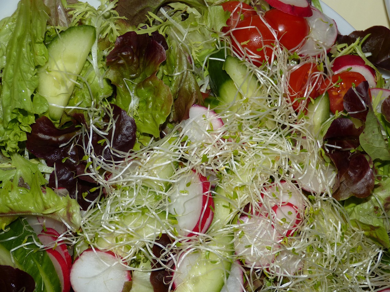 最新涼菜精選，美味與健康并存的涼菜藝術(shù)欣賞