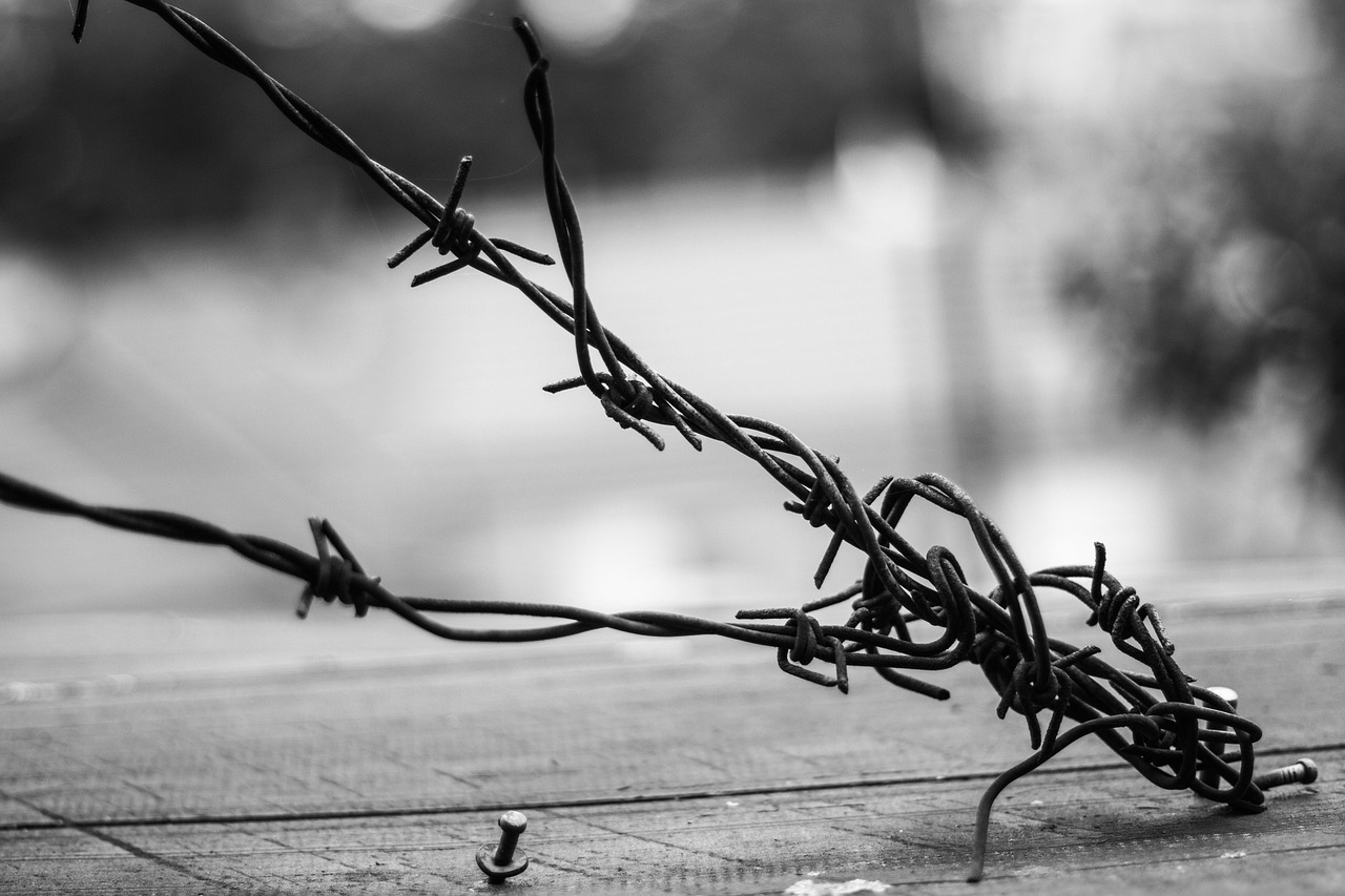 電影倫理網(wǎng)，探索電影藝術(shù)的道德倫理邊界