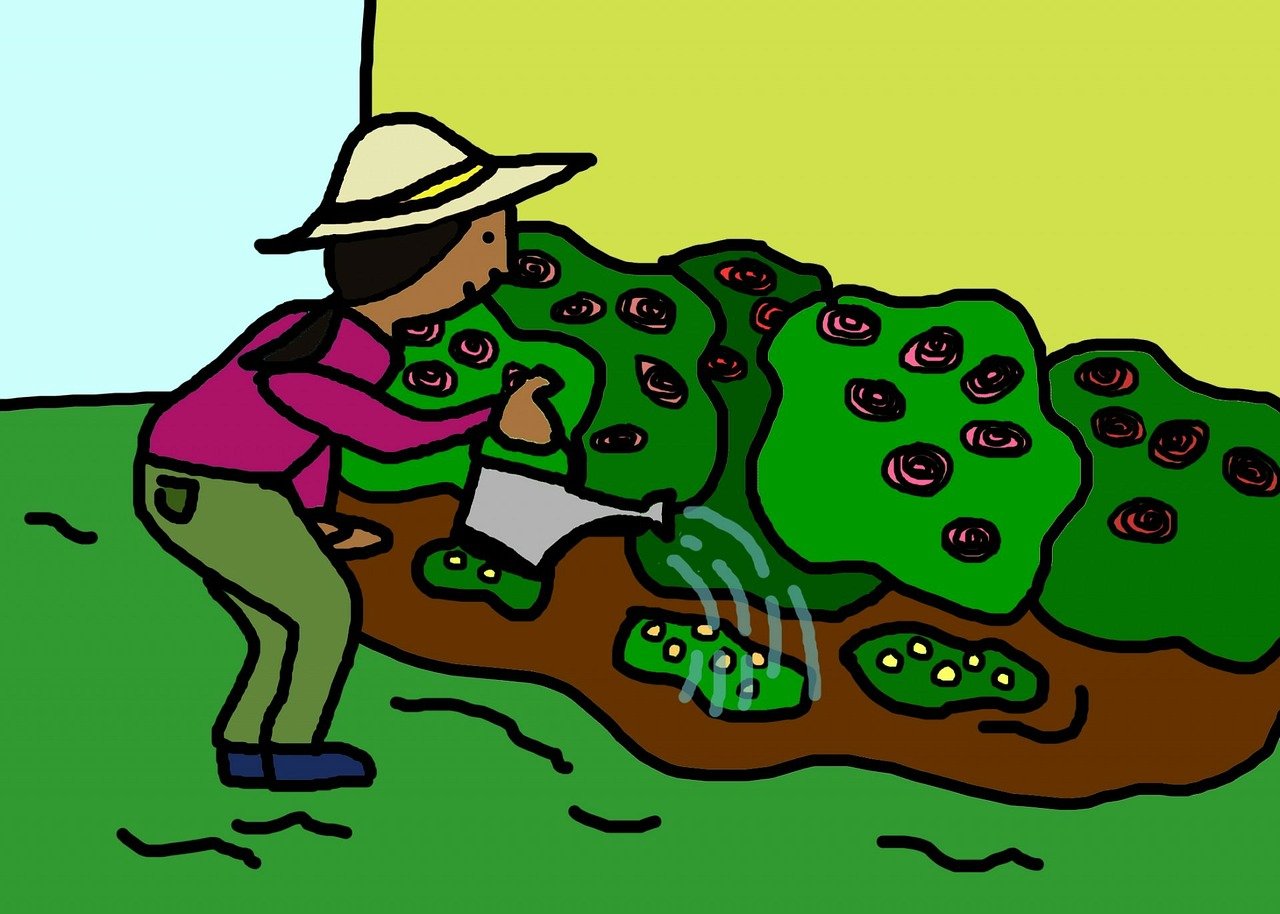 最新腳心漫畫大全，動漫世界的魅力與趣味探索