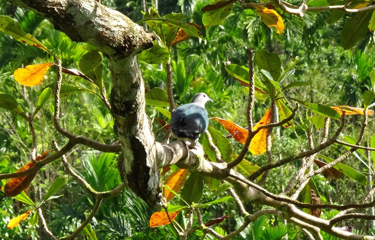 爐石薩滿新動(dòng)態(tài)，引領(lǐng)游戲潮流，揭示新元素的力量
