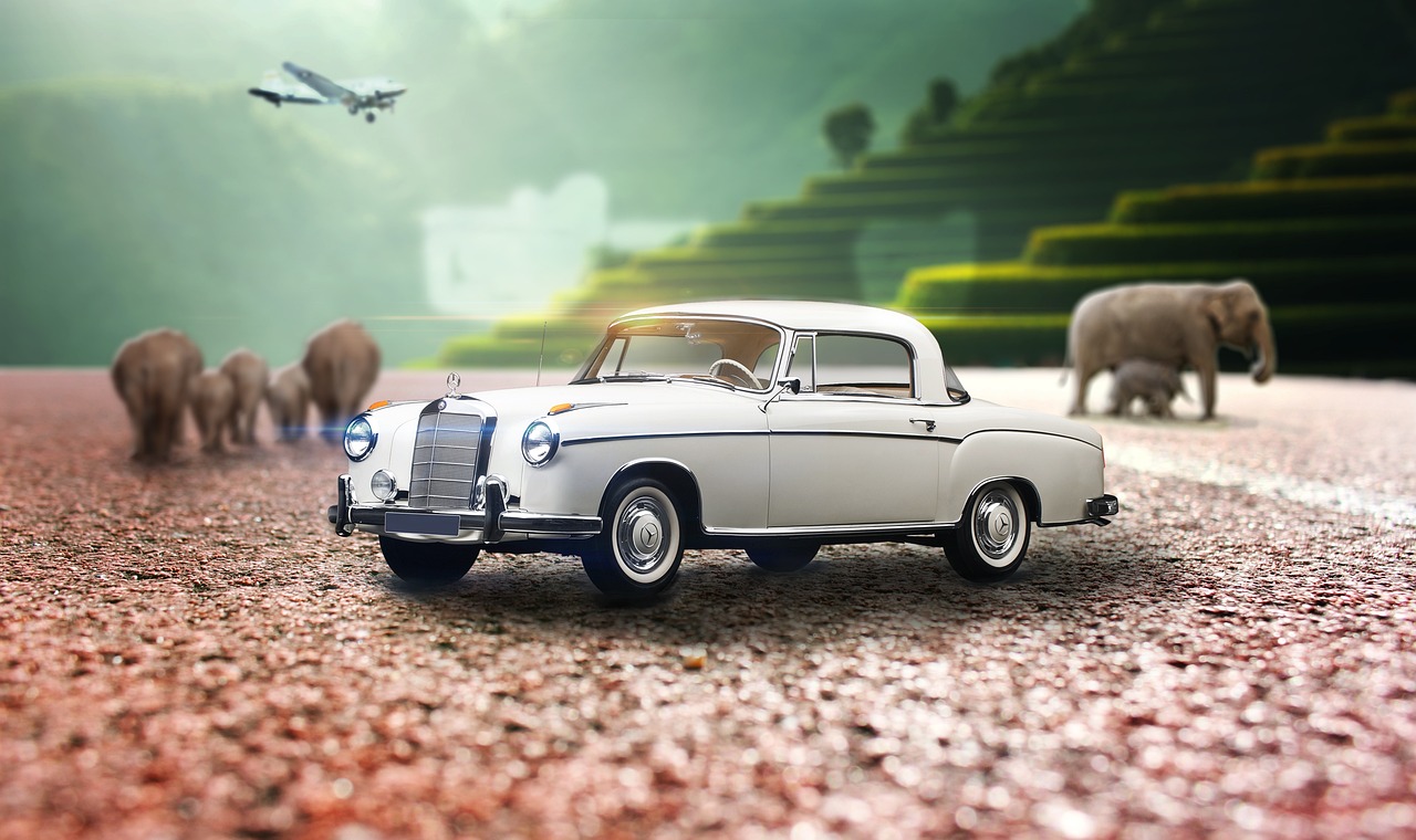 王文芳畫家最新動(dòng)態(tài)及藝術(shù)探索與創(chuàng)作盛況揭秘