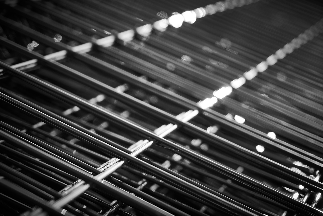 海蝦價格行情走勢及分析