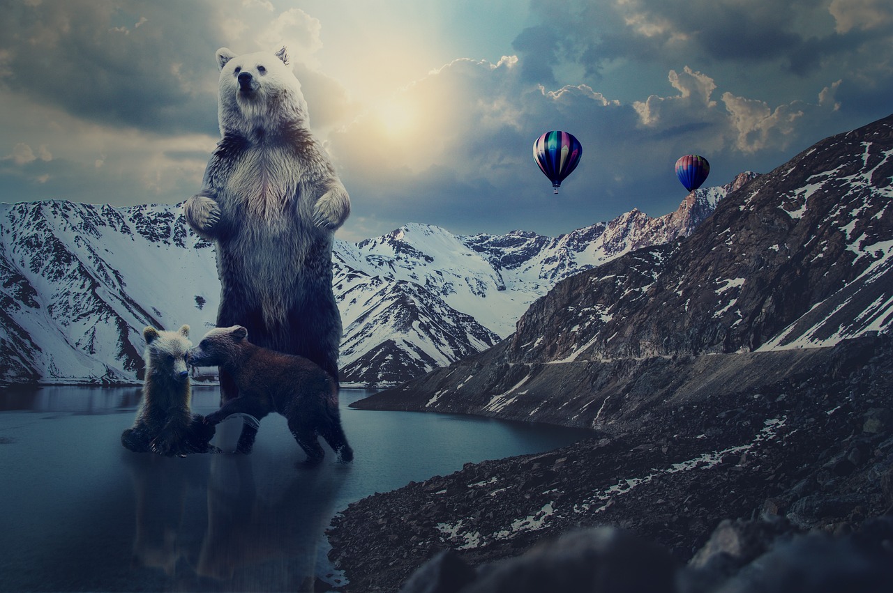 LOL電影下載，探索與體驗之旅