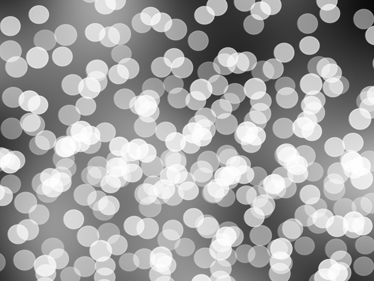 劉志軒最新動態(tài)揭秘，籃球場上的新星璀璨閃耀