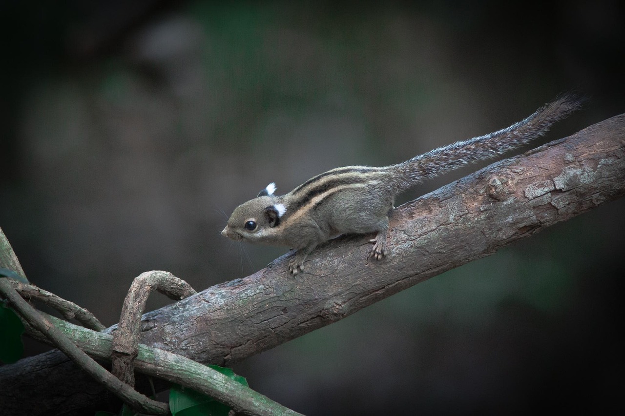浦淳最新動態(tài)與成就，引領前沿領域的探索者