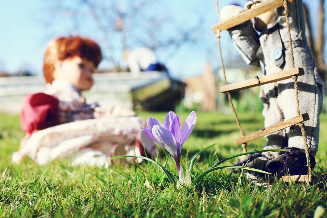 心花路放，簡(jiǎn)沫小說(shuō)最新版的綻放之旅