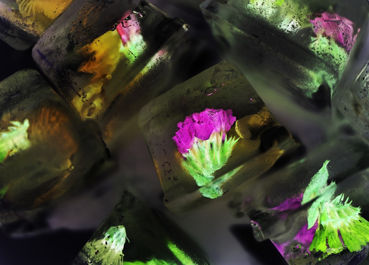 九陽最新款破壁機，破壁科技與烹飪藝術(shù)的極致融合