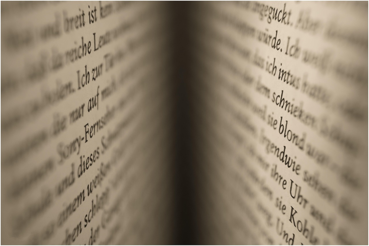 我真是大明星最新章節(jié)列表全覽