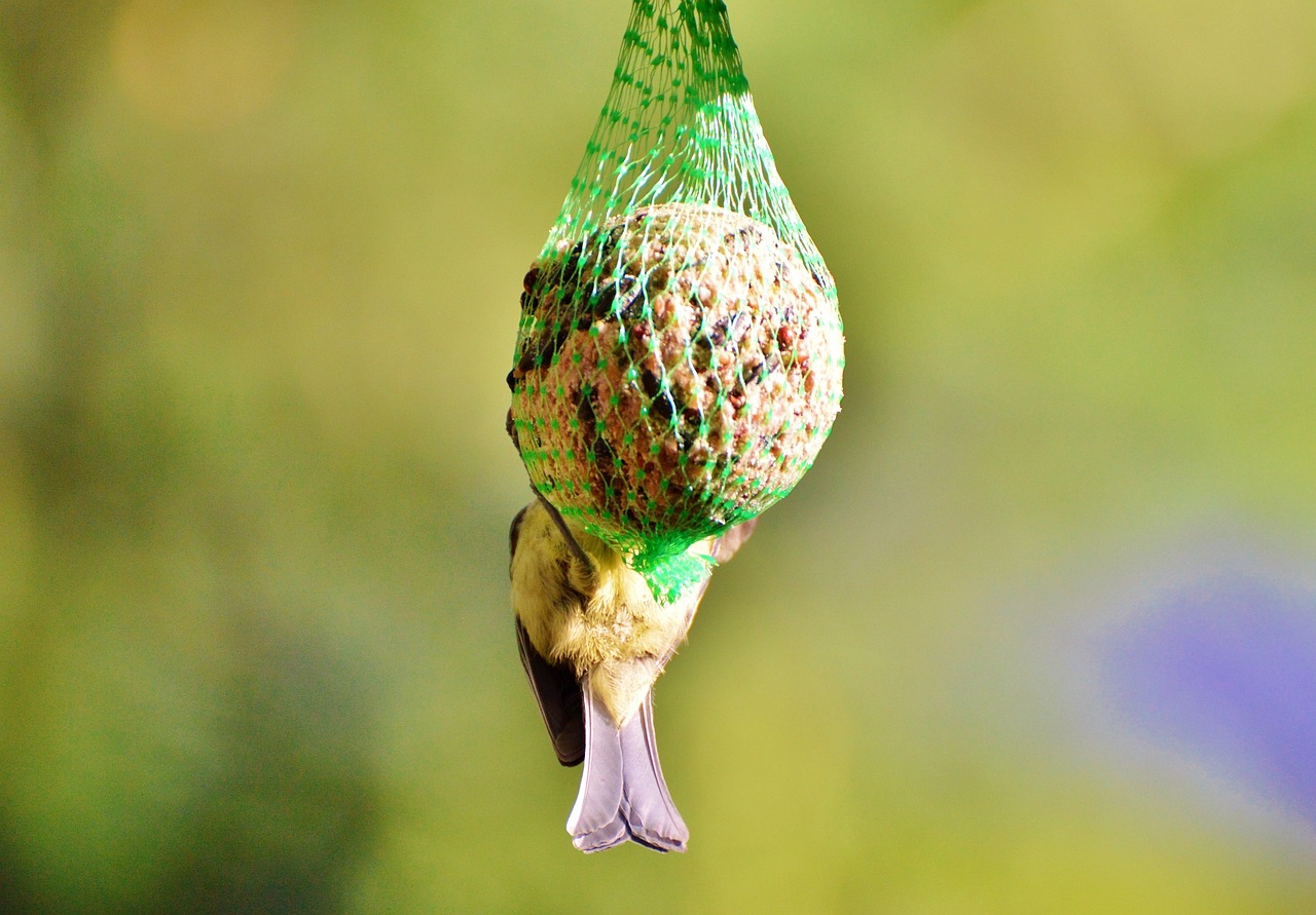 猛犬老公的寵妻新動態(tài)，愛的力量與守護的堅定承諾