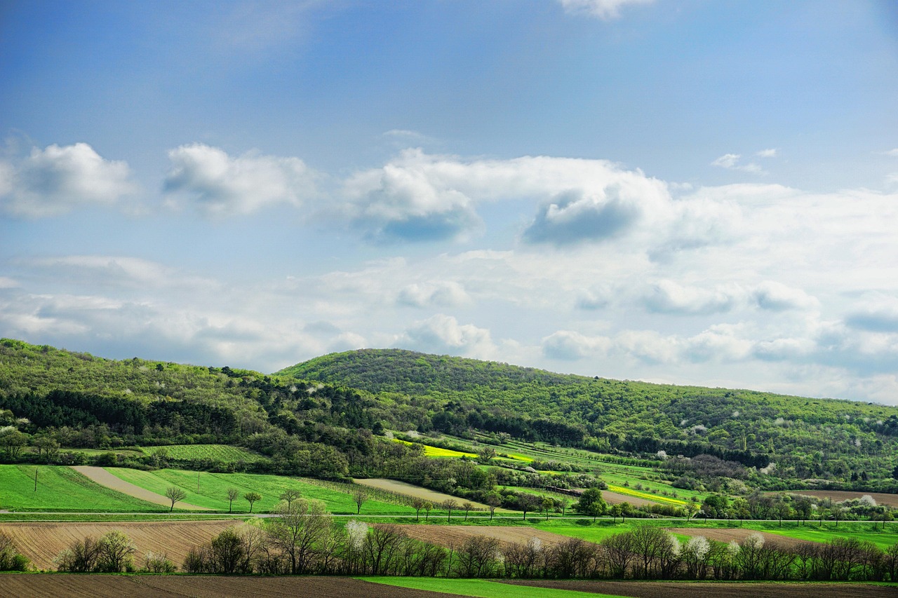 中體產(chǎn)業(yè)最新動態(tài)全面解讀（股票代碼，600158）