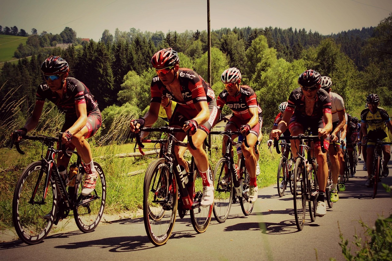 葡超最新比分及積分榜排名，賽場(chǎng)動(dòng)態(tài)、球隊(duì)表現(xiàn)全面解析