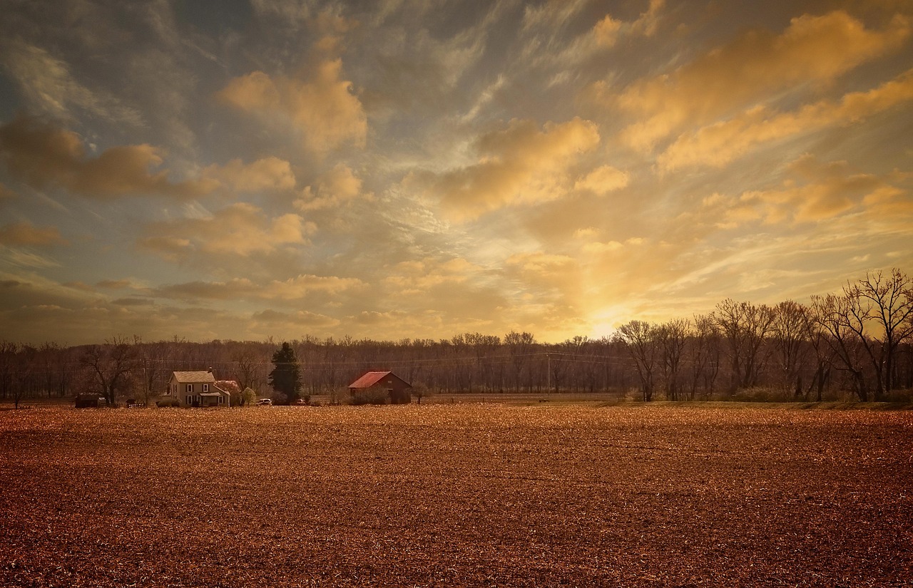 八佰新片上映，探索電影藝術(shù)的無(wú)限魅力